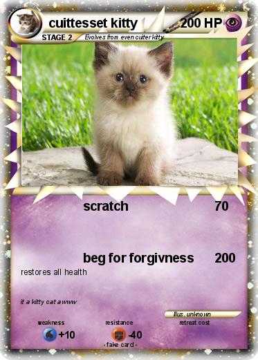Pokemon cuittesset kitty