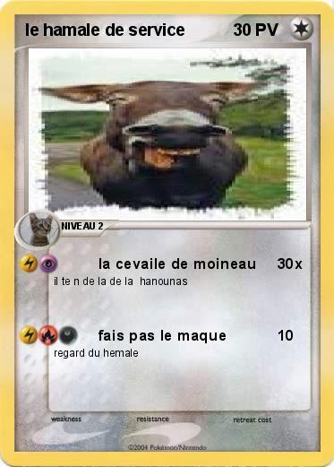 Pokemon le hamale de service