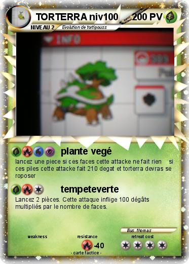 Pokemon TORTERRA niv100
