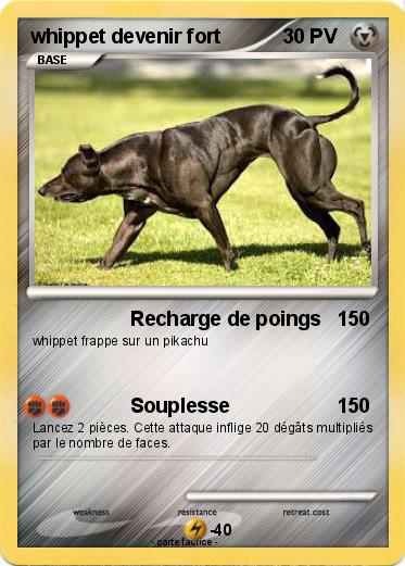 Pokemon whippet devenir fort