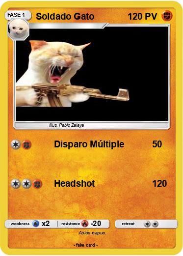 Pokemon Soldado Gato