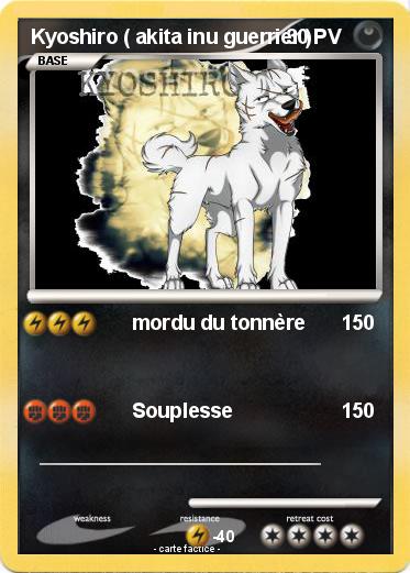 Pokemon Kyoshiro ( akita inu guerrier )