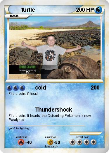 Pokemon Turtle