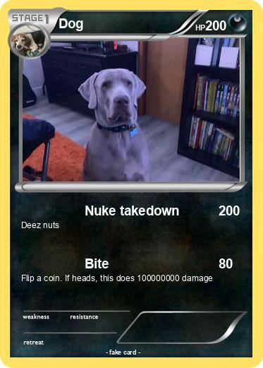 Pokemon Dog