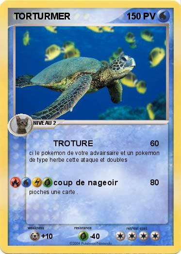 Pokemon TORTURMER