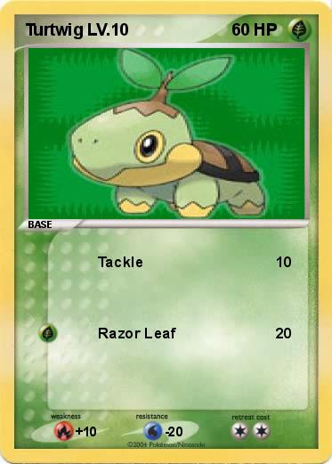 Pokemon Turtwig LV.10