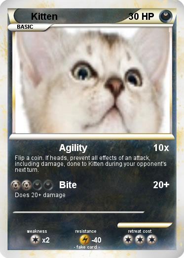 Pokemon Kitten