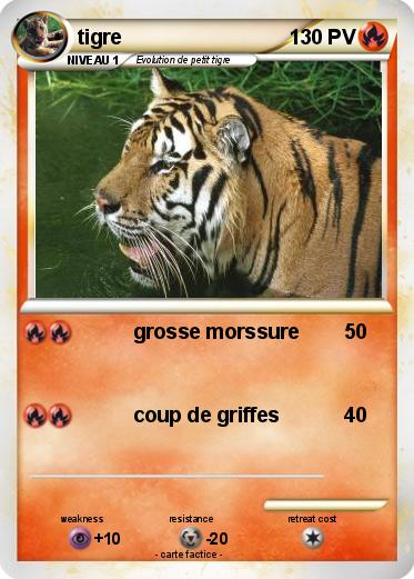 Pokemon tigre