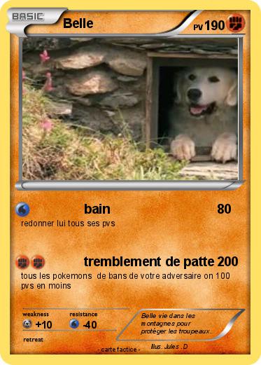 Pokemon Belle