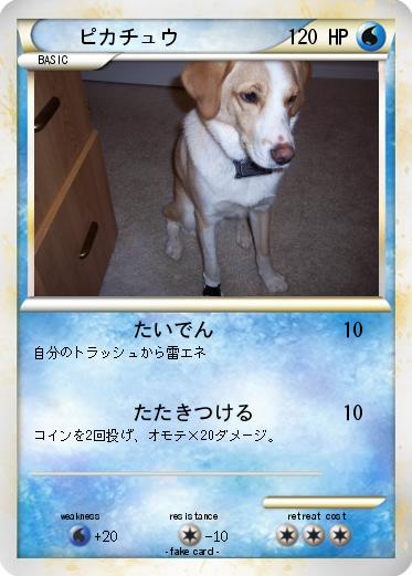 Pokemon ピカチュウ