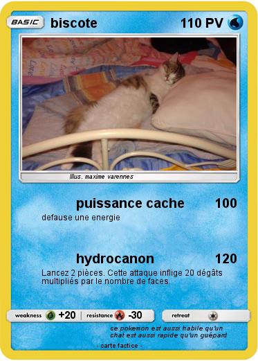 Pokemon biscote