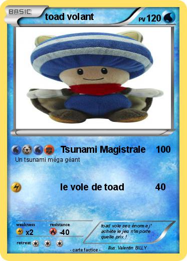 Pokemon toad volant