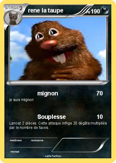 Pokemon rene la taupe
