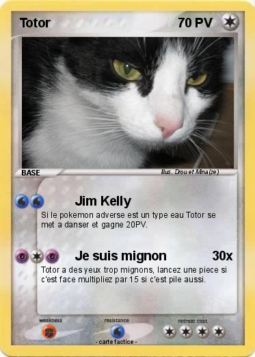 Pokemon Totor