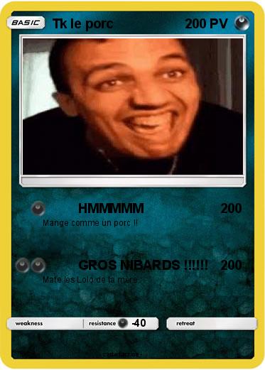 Pokemon Tk le porc