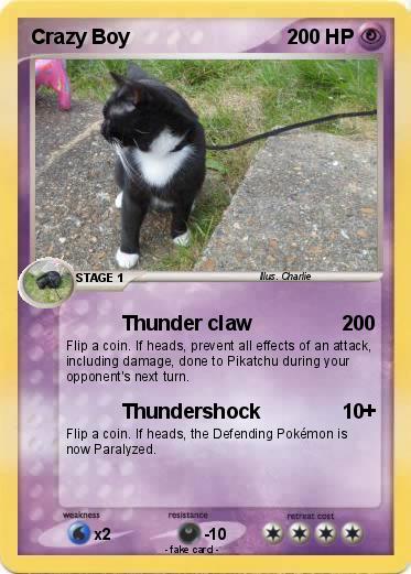 Pokemon Crazy Boy
