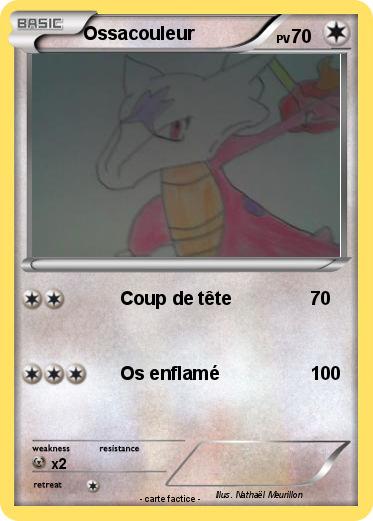 Pokemon Ossacouleur
