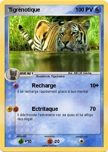 Pokemon Tigrènotique