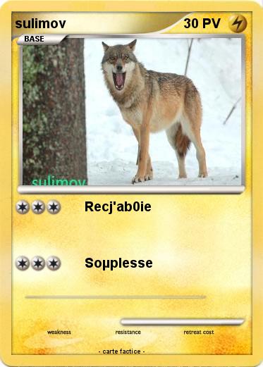 Pokemon sulimov