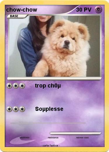 Pokemon chow-chow