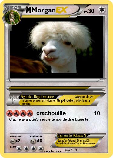 Pokemon Morgan
