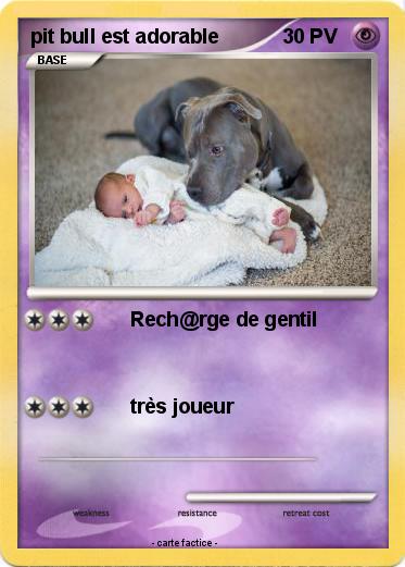 Pokemon pit bull est adorable