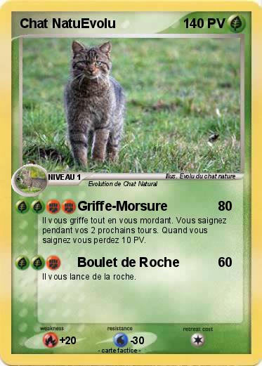 Pokemon Chat NatuEvolu