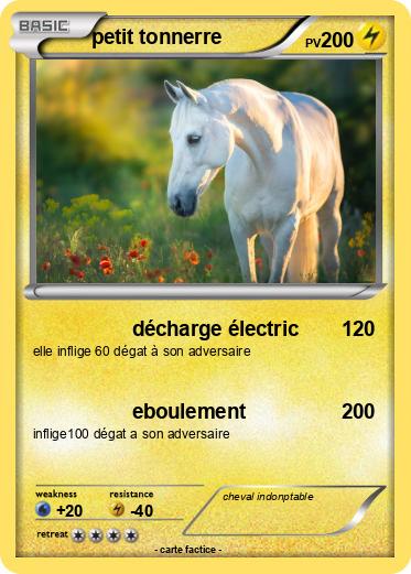 Pokemon petit tonnerre