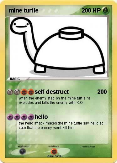Pokemon mine turtle