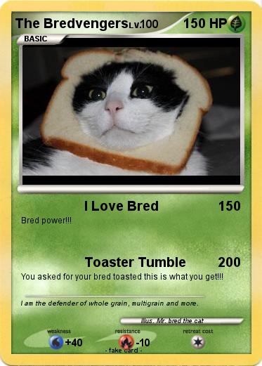 Pokemon The Bredvengers
