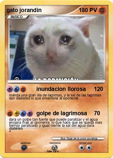 Pokemon gato jorandin