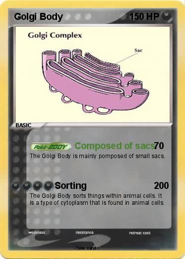 Pokemon Golgi Body