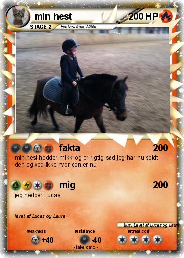 Pokemon min hest