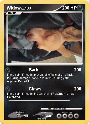 Pokemon Widow