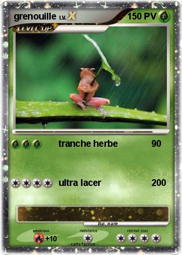 Pokemon grenouille