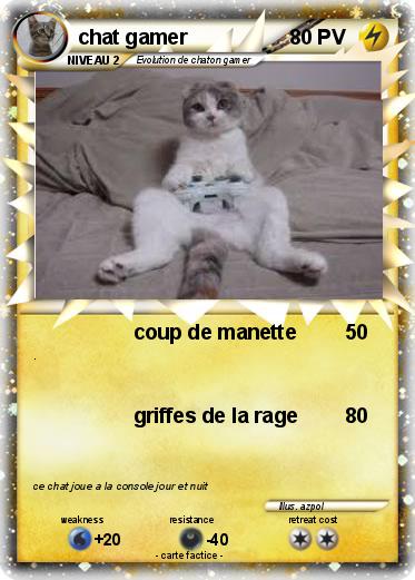 Pokemon chat gamer