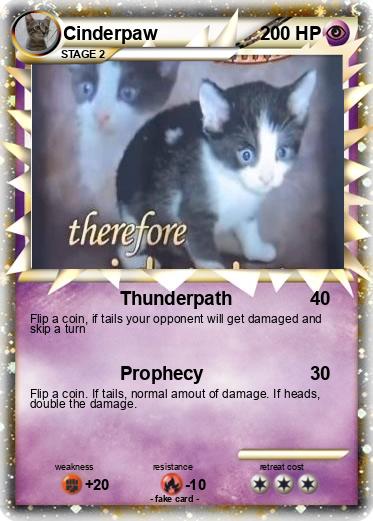 Pokemon Cinderpaw