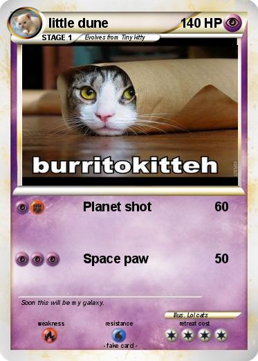 Pokemon little dune