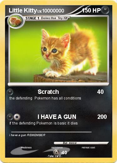 Pokemon Little Kitty