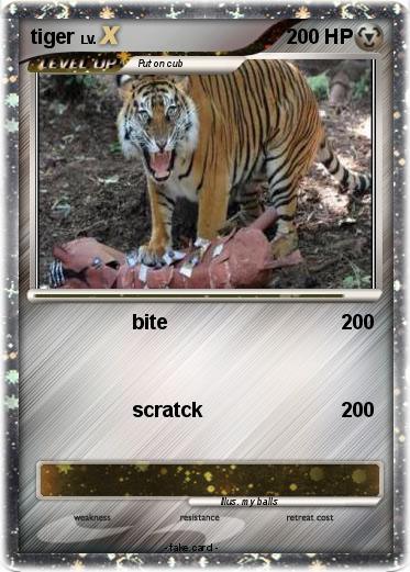 Pokemon tiger