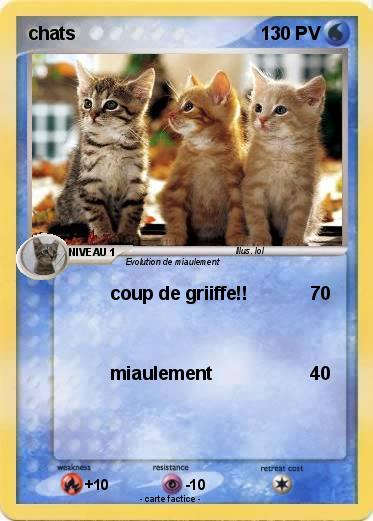 Pokemon chats