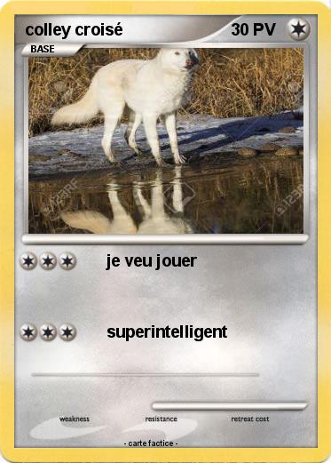 Pokemon colley croisé