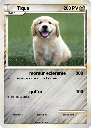 Pokemon Tiqua
