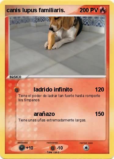 Pokemon canis lupus familiaris.