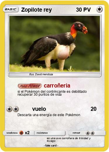 Pokemon Zopilote rey