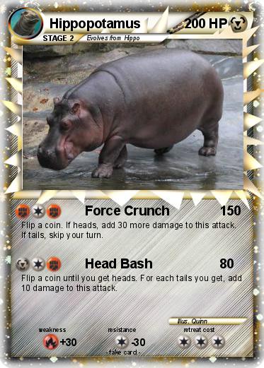 Pokemon Hippopotamus