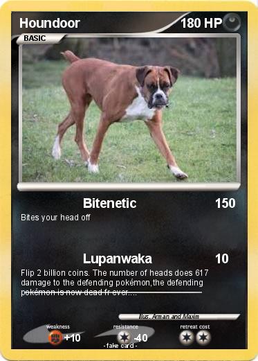 Pokemon Houndoor