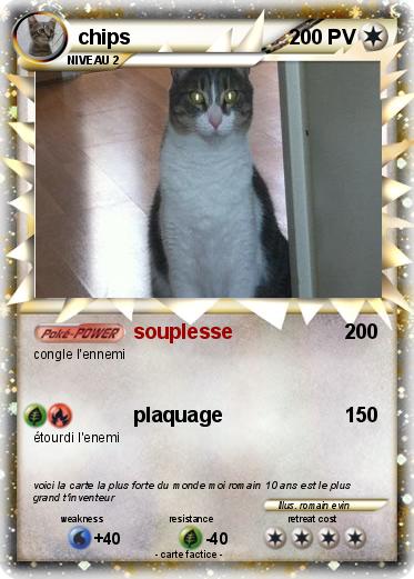 Pokemon chips