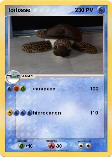 Pokemon tortosse                             2