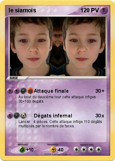 Pokemon le siamois